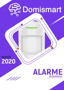 Alarme Domismart